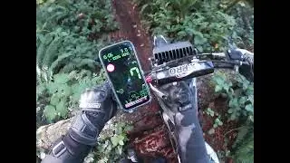 Nice ride on single track trail, on a 2024 X-pro 125cc Modified.