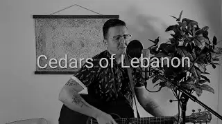 Cedars of Lebanon - Eric Tonjes