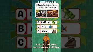 Which Animal Never Sleeps in Its Lifetime? 🐟 | Brain Teaser Quiz 2025