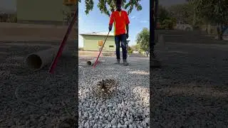 Grumpy Puff Adder