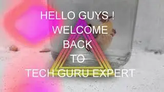 PART 1 OF SWIM BLADDER EXPLANATION AND PREVENTATIO (TECH GURU EXPERT)