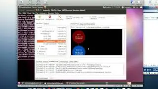 WhitePhosphorus CANVAS Exploit Pack - Escaping IE8 Protected Mode