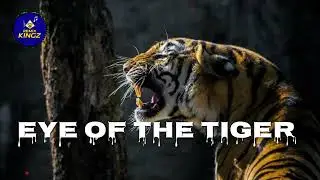 Survivor - Eye Of The Tiger (REMIX) | By Remix Kingz