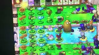 Heads to final wave of PVZ