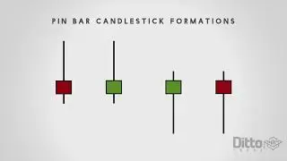 Master The Pin Bar Reversal & Forex Price Action