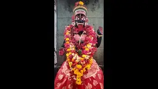 🌺🌺 Akalipur Kali Mandir 🙏🏻 | গুহ্য কালী | #shorts #viral #trending #kalipuja #maakali