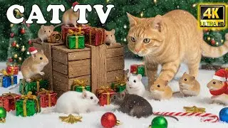 Cat TV 🐭 Tiny Creature Maze Hunt | Hypnotic Cat Entertainment & Brain Stimulation