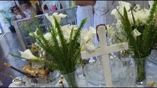 JUREMA SAGRADA - CONSAGRA&Ccedil;&Atilde;O E SA&Iacute;DA