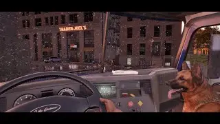 The Road Behind Us: Trader Joel's