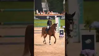 Favorite equestrian brands?