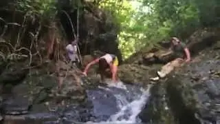 The Waterfall Trail at the Cockscomb Basin Wildlife Refuge