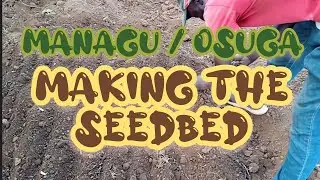 HOW TO MAKE A SEEDBED FOR INDIGENOUS VEGETABLES