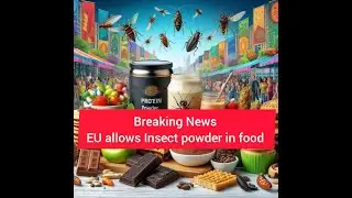 Mealworm powder: EU allows Insect powder in food