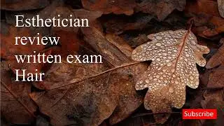 Milady Chapter 11 Esthetician review written exam Hair