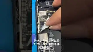 Found a lot of broken phones and more! | Restoring Abandoned Destroyed Phone | Rebuild Broken phone