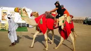 SEALINE MESAIEED, DOHA QATAR