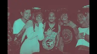Vampire by Tribal Seeds ( The herbs band cover )