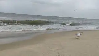 Cold and Windy day at the Beach Ocean City