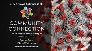 Community Connection: Iowa City Animal Care and Adoption Center
