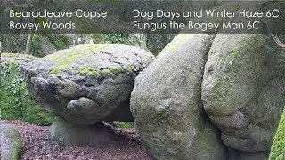 | Bouldering | Fungus the Bogeyman & Dogs Days and Winter Haze | Bovey Woods |