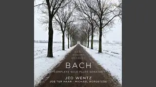 Sonata in D Major, Wq. 129: II. Allegro