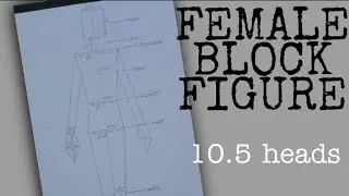 How to make Female bodice block 10.5 heads |Fashion illustration.