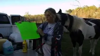 flyspray