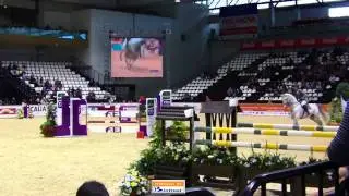 Rolex Fei World Cup (Ludger Beerbaum)  2011 (5* CSI-W) 12 Fev