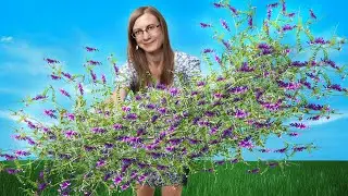 Ratuj Nią Zdrowie! Tego Byś Się Nie Spodziewał!