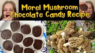 🔥MOREL MUSHROOMS Infused Chocolate Candy Cup Recipe🔥 Crazy YUM! #morelmushrooms, #mushroomrecipes