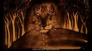 International Tiger Day