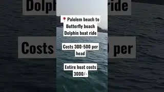 Dolphin boat ride in Goa | Doplhin spotting kahan hoti hai? #dolphinride #goa