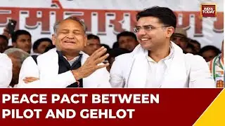 Congress Vows To Fight Rajasthan Poll 'United' | Permanent Pause in Rajasthan Power Tussle ?