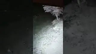 karachi razzaqabad police training center Cctv #ghost #peranormal