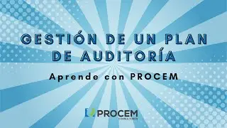Gesti&oacute;n de un Plan de Auditor&iacute;a
