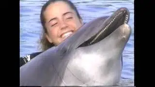 Discovery Cove - A Day in Paradise (2001)