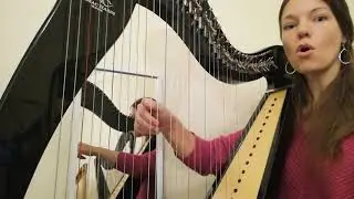 Le&ccedil;on 1, Technique: Placement du 2 MD (main droite) et MG (main gauche)