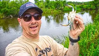 How to catch CRABS from the bank ( LOUISIANA BLUE CRABS )