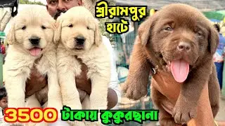 Pet Market in Kolkata. Serampore Pet Market. Dog Market in Kolkata Price.