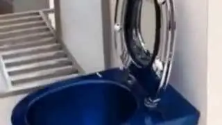 Neo-Metro Brushed Stainless Steel Blue Toilet at BDWest 2014