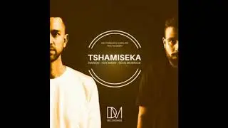 Kid Fonque & D-Malice feat. Khensy - Tshamiseka (Dwson Remix) (2018)