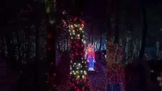 Rock City's Enchanted Garden Of Lights Sneak Peek