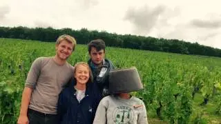 Vendanges 2015