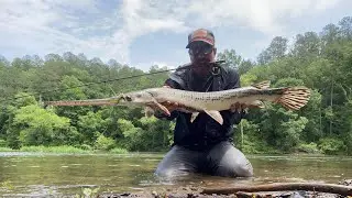 Redeye Bass and Gar Fly Fishing Alabama: Cell Phone Chronicles ep. 1