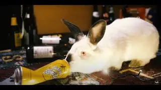 kBb - #ohnedich (Official Music-Video)