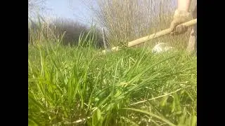 Pastin&aacute;k 27.04.2021