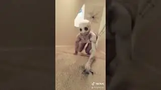 Funny video about me in this creepy morph suit😅