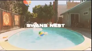 Swans Nest- ZAANO & Babelicious