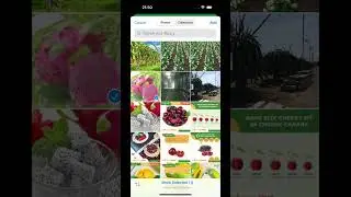 Process of Tracing the Origin of Agricultural Products on Blockchain | Pione Farm