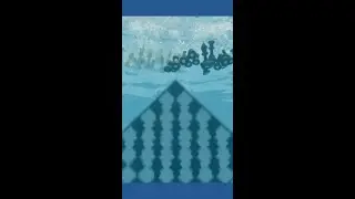 Have you ever seen underwater chess?
